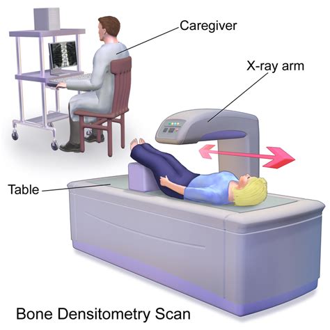 spine thickness test|Bone Densitometry .